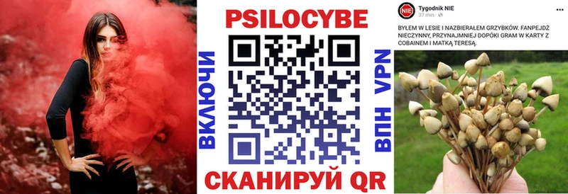 мориарти телеграм  Правдинск  Псилоцибиновые грибы прущие грибы  даркнет сайт 